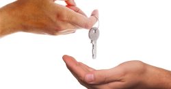 1 bhk for rent